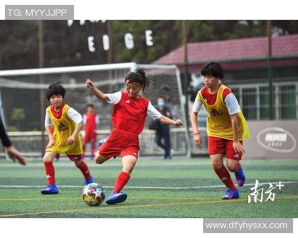 捡到被丢弃的足球明星如何重拾梦想与荣耀的感人故事