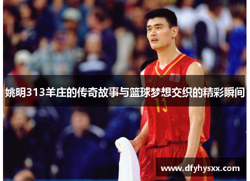 姚明313羊庄的传奇故事与篮球梦想交织的精彩瞬间